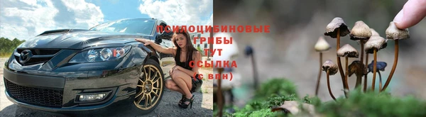 трава Краснотурьинск