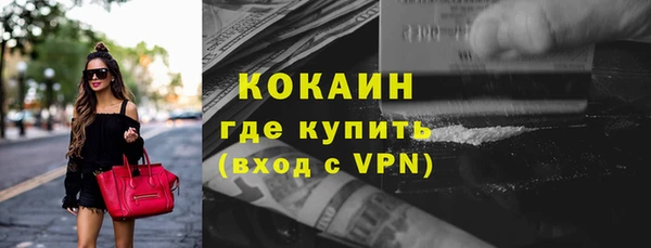 гашик Корсаков