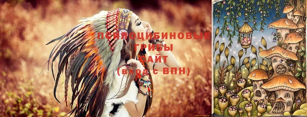 не бодяженный Краснослободск