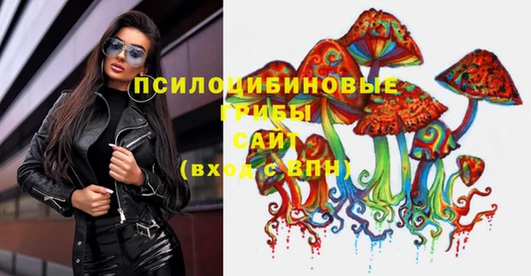 МДПВ Коряжма