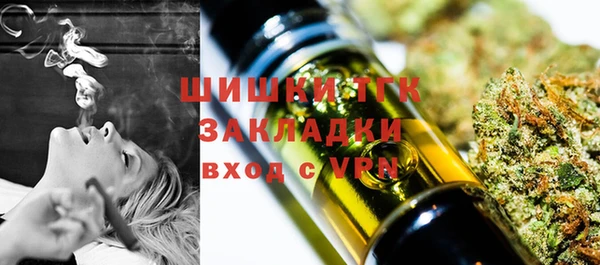 гашик Корсаков
