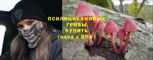 дурь Красноперекопск