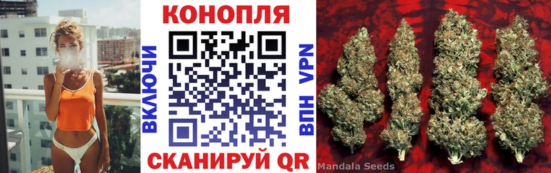 Купить Малоярославец Конопля OG Kush